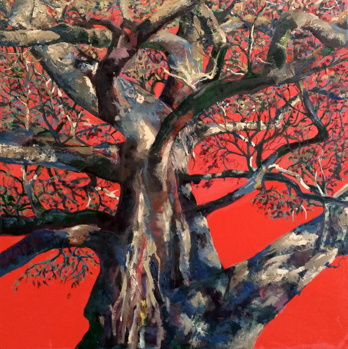 "Red Sky Tree" oil on canvas, 61x61 cm, 24x24 inches, private collection, San Francisco, USA