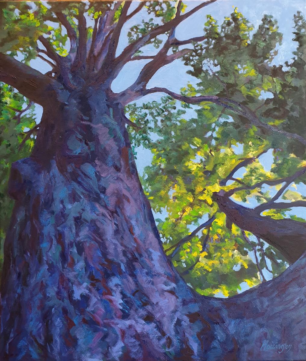 "Upward," oil on canvas, 70x60 cm, 28x24 inches, COA, Sydney