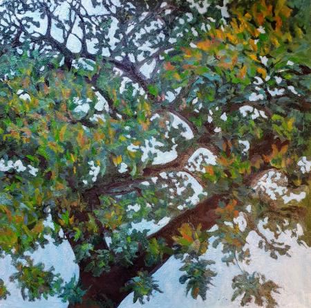 "Big Branch," oil on canvas 61x61 cm, 24x24 inches, private collection, Maryland, USA